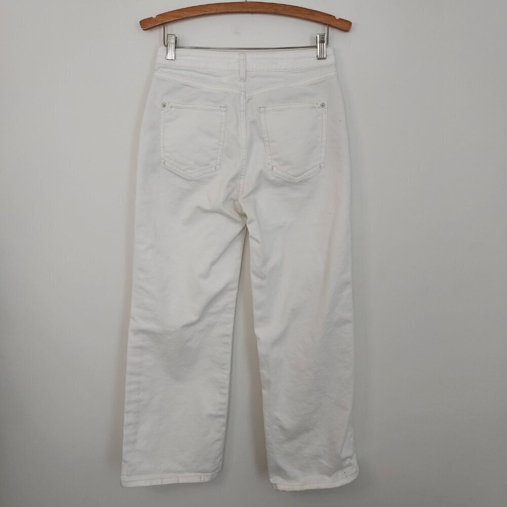 Pilcro Anthropologie Distressed White Slim Boyfriend Jeans Size 28P - Picture 3 of 13